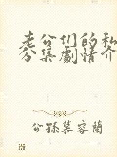 老公们的私房钱分集剧情介绍