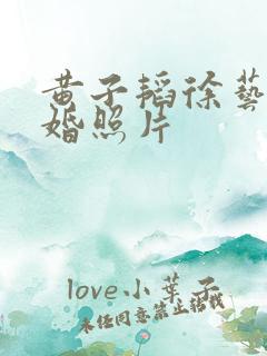 黄子韬徐艺洋结婚照片