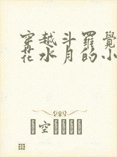 穿越斗罗觉醒镜花水月的小说