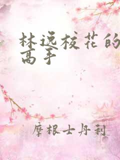 林逸校花的贴身高手