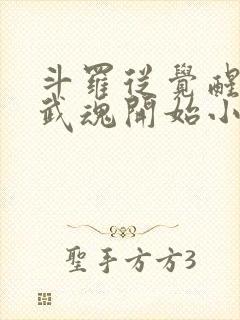 斗罗从觉醒朱雀武魂开始小说