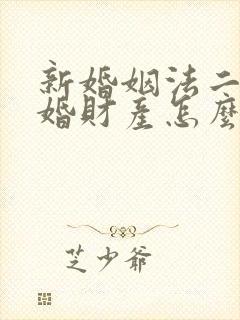 新婚姻法二婚离婚财产怎么分