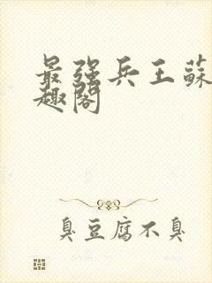 最强兵王苏锐笔趣阁