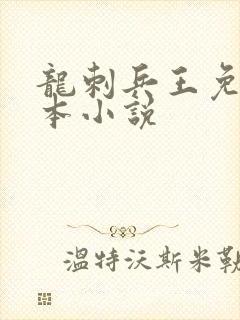 龙刺兵王免费全本小说