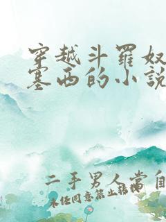 穿越斗罗奴役波塞西的小说