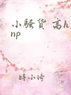 小骚货 高h np