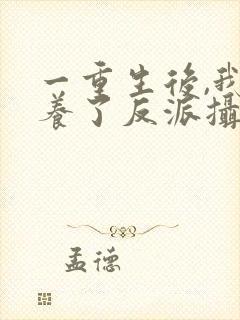 一重生后,我娇养了反派摄政王