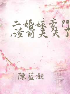 二婚嫁豪门大佬,渣前夫失了控之