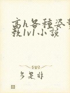 高h各种姿势调教1v1小说