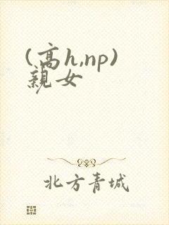 (高h,np)亲女