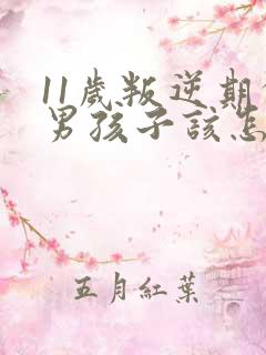 11岁叛逆期的男孩子该怎样去沟通教育