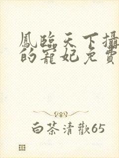 凤临天下摄政王的宠妃免费阅读