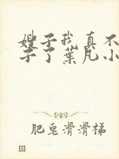 嫂子我真不是傻子了叶凡小说最新章节精校版