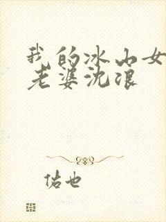 我的冰山女总裁老婆沈浪