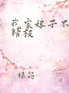 我家娘子不对劲精校