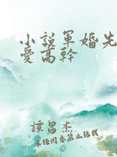 小说军婚先婚后爱高干