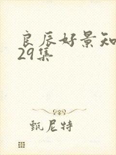 良辰好景知几何29集