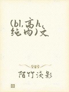 (bl,高h,纯肉)文