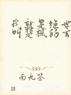 我就是绝世天才叫楚枫的玄幻小说