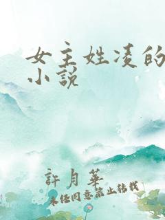 女主姓凌的穿越小说