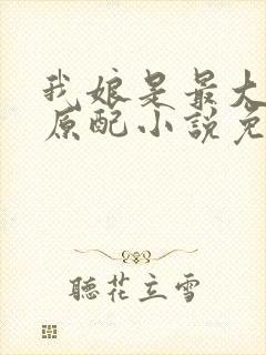 我娘是最大方的原配小说免费阅读