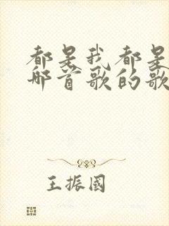 都是我都是我是哪首歌的歌词