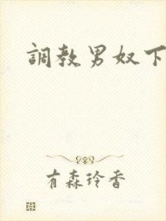 调教男奴下体