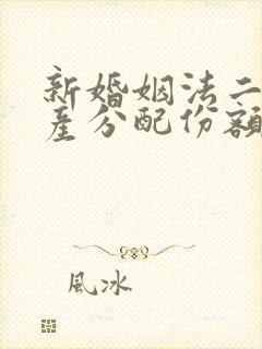 新婚姻法二婚遗产分配份额