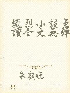 炽烈小说免费阅读全文无弹窗