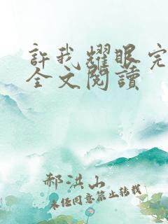 许我耀眼完整版全文阅读