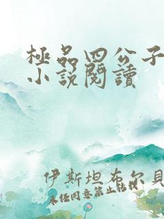 极品四公子宁宸小说阅读