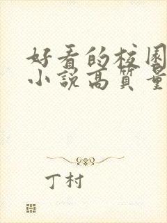 好看的校园言情小说高质量文笔好