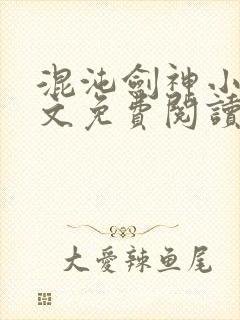 混沌剑神小说全文免费阅读无弹窗