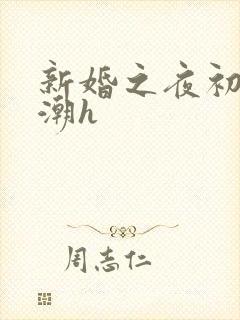新婚之夜初尝高潮h