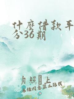 什么借款平台能分36期