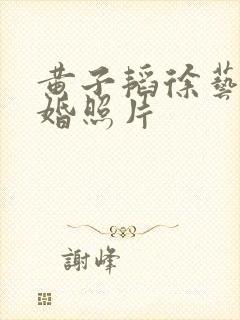 黄子韬徐艺洋结婚照片