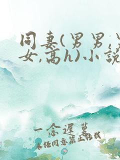 同妻(男男,男女,高h)小说