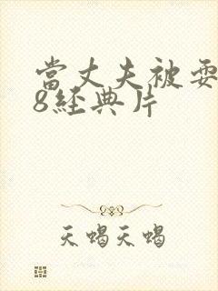 当丈夫被耍了k8经典片