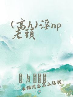 (高h)淫np老头