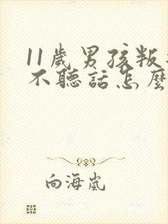 11岁男孩叛逆不听话怎么办