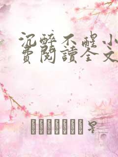 沉醉不醒小说免费阅读全文无弹窗