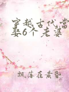 穿越古代当秀才娶6个老婆