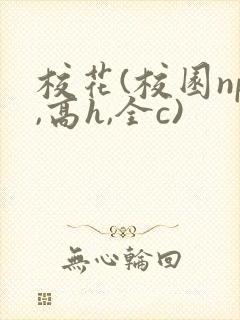 校花(校园np,高h,全c)