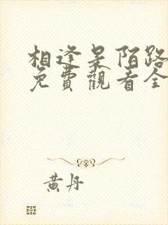 相逢是陌路短剧免费观看全集