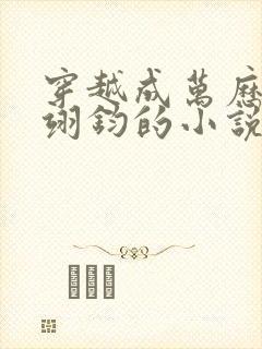 穿越成万历帝朱翊钧的小说