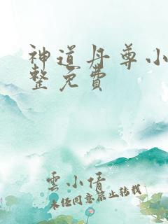 神道丹尊小说完整免费