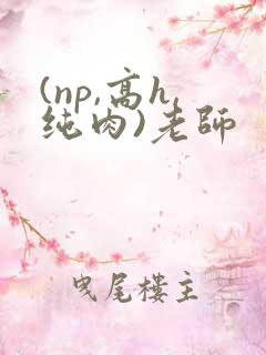 (np,高h,纯肉)老师