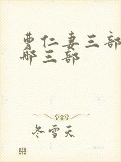 曹仁妻三部曲是哪三部