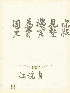 因为遇见你全集免费完整版高清