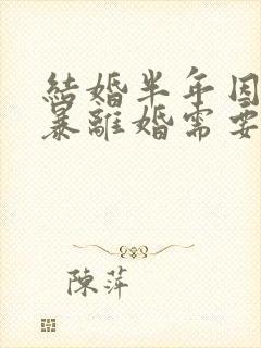 结婚半年因为家暴离婚需要退彩礼吗